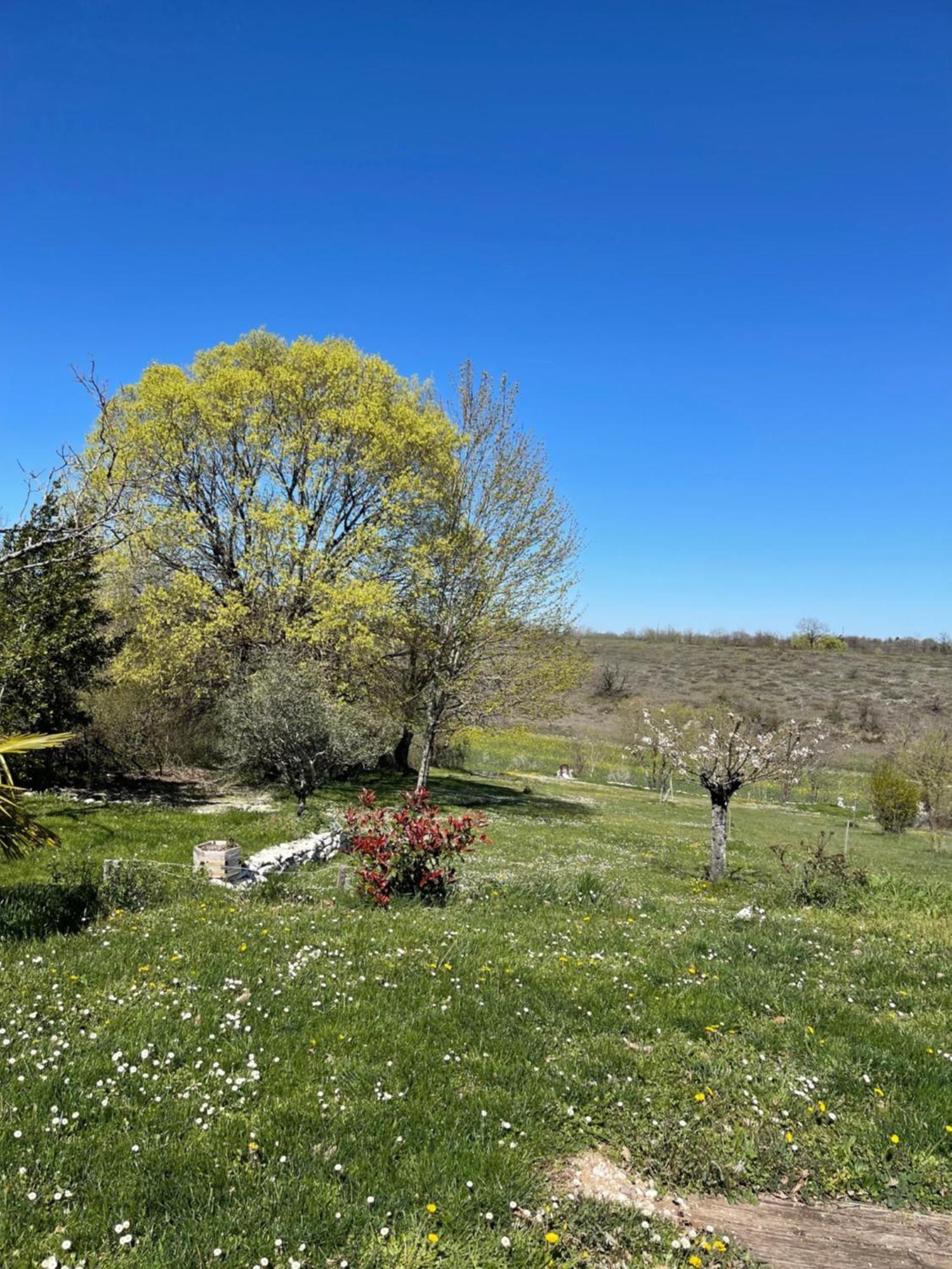 Villa Le Paradis Pern Εξωτερικό φωτογραφία